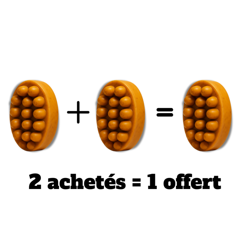Savon carotte et curcuma à la vitamine C: forme ovale à picot X3